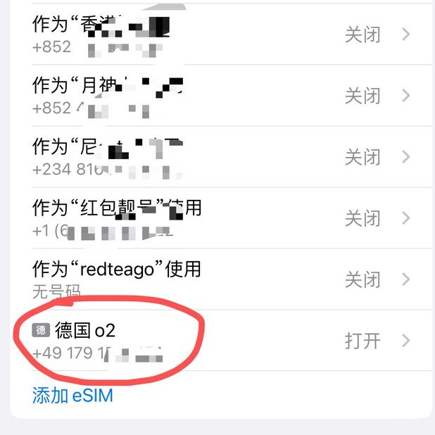 步骤 18：确认德国 O2 eSIM 已安装